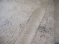 Single Pass of Rotovac 360