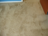 After Picture- Stains Are Removed While Carpet is Restored