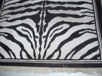 Dirty Rug Before Cleaning with Rotovac